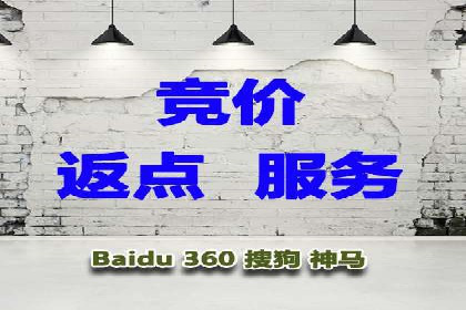 行业标杆的SEM竞价营销案例研究